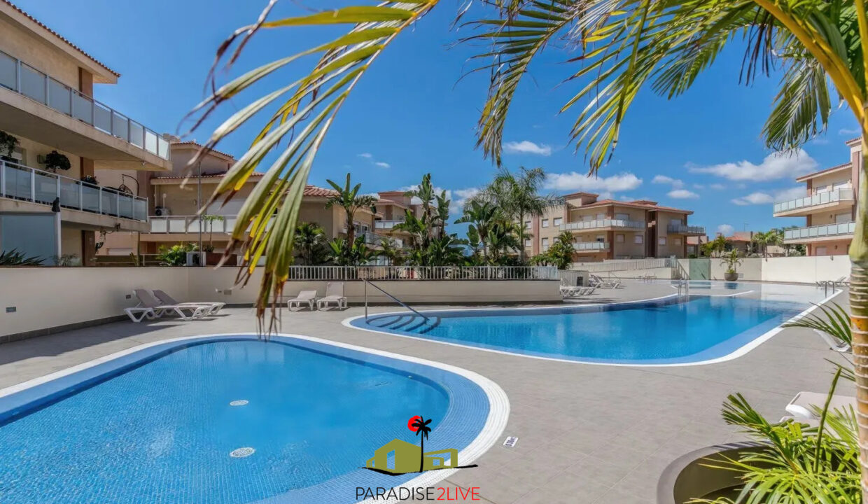 AV37-FOTO NUOEVA LOGO AMARILLA GOLF10