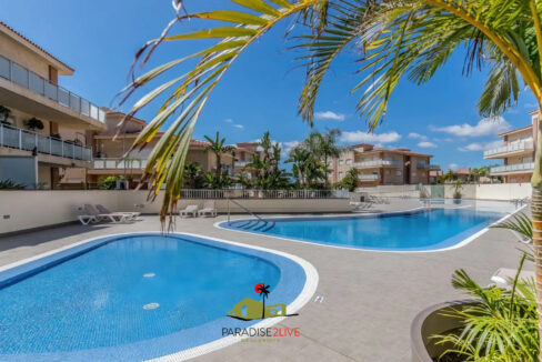 AV37-FOTO NUOEVA LOGO AMARILLA GOLF10