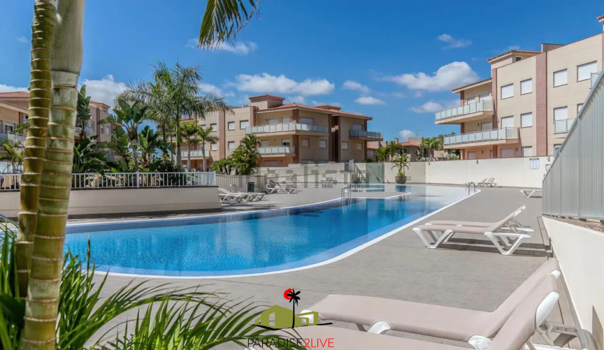 AV37-FOTO NUOEVA LOGO AMARILLA GOLF11