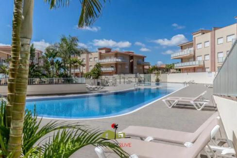 AV37-FOTO NUOEVA LOGO AMARILLA GOLF11