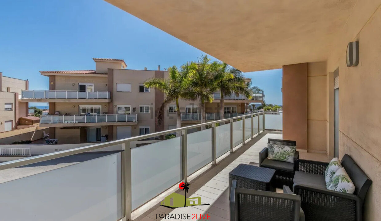 AV37-FOTO NUOEVA LOGO AMARILLA GOLF17