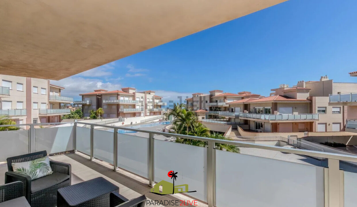 AV37-FOTO NUOEVA LOGO AMARILLA GOLF19