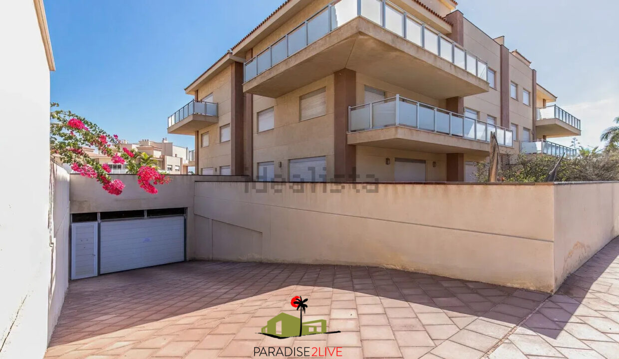 AV37-FOTO NUOEVA LOGO AMARILLA GOLF20