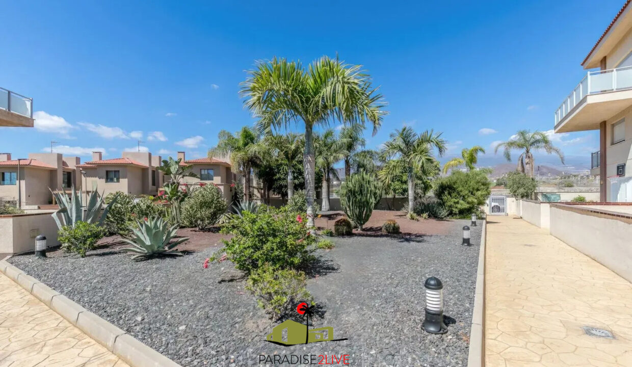 AV37-FOTO NUOEVA LOGO AMARILLA GOLF22