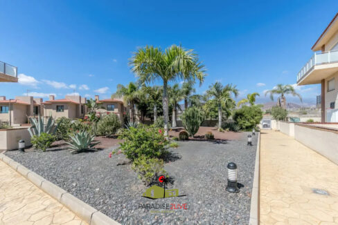 AV37-FOTO NUOEVA LOGO AMARILLA GOLF22