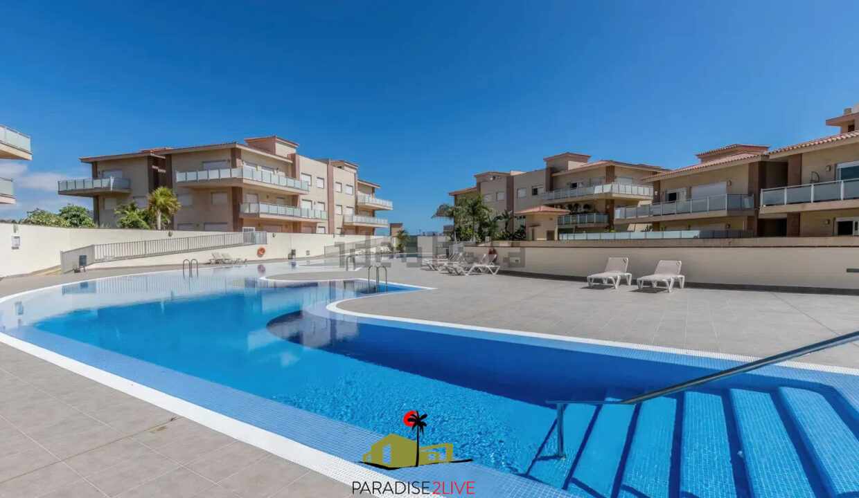 AV37-FOTO NUOEVA LOGO AMARILLA GOLF23