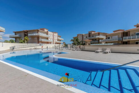 AV37-FOTO NUOEVA LOGO AMARILLA GOLF23