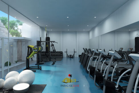 Gimnasio 1