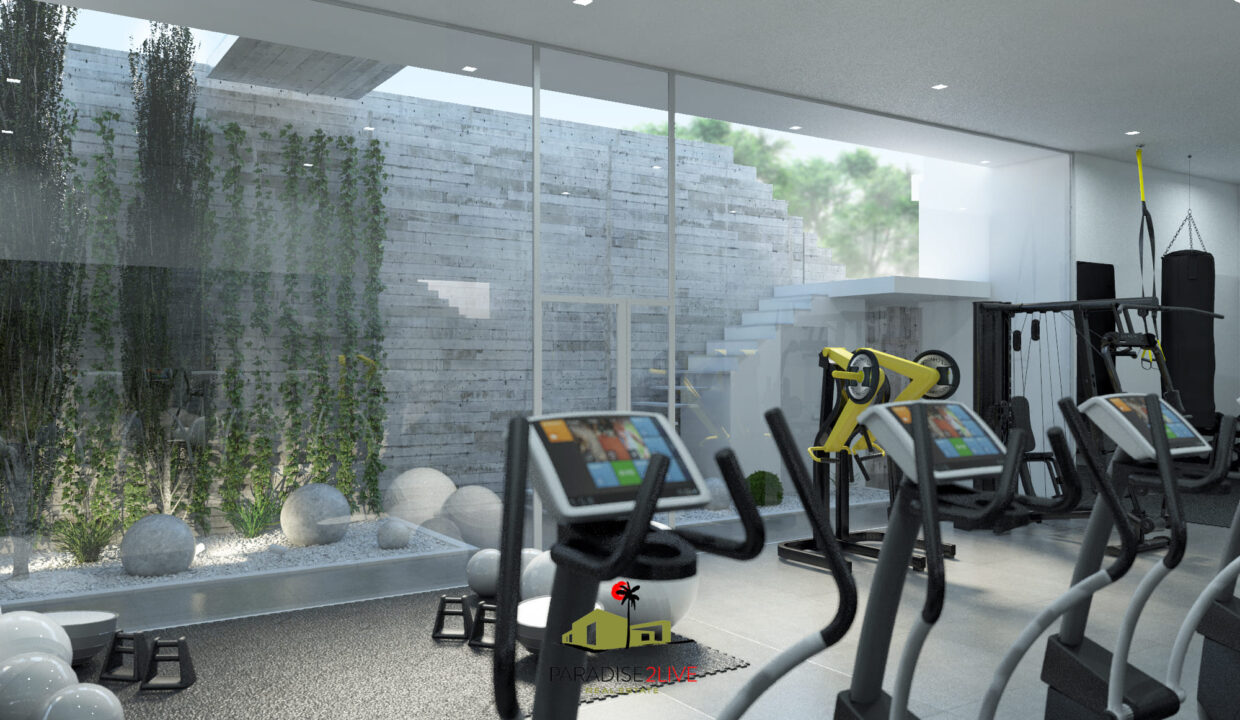 Gimnasio 2