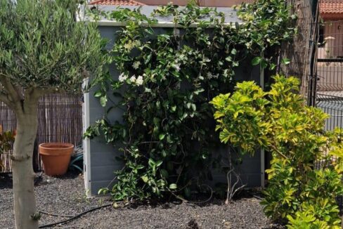 FOTOS VILLA SOFIAS ORIGO MARE - DAVID37