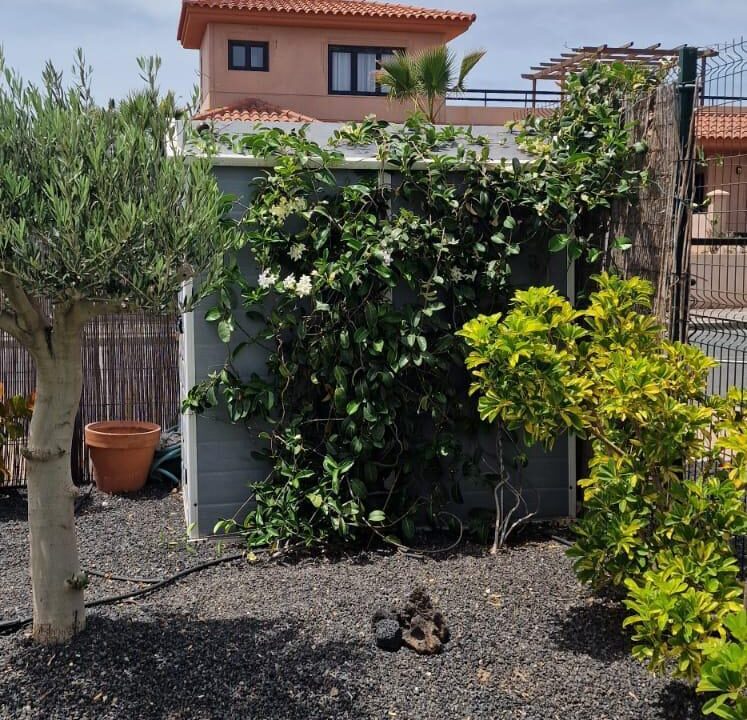 FOTOS VILLA SOFIAS ORIGO MARE - DAVID37