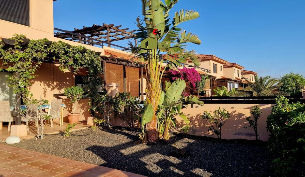 FOTOS VILLA SOFIAS ORIGO MARE - DAVID41